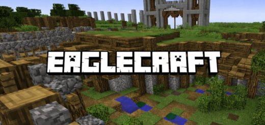 Eagle Craft Minecraft Game